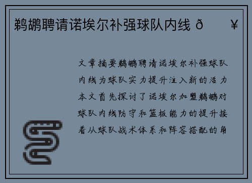 鹈鹕聘请诺埃尔补强球队内线 🔥